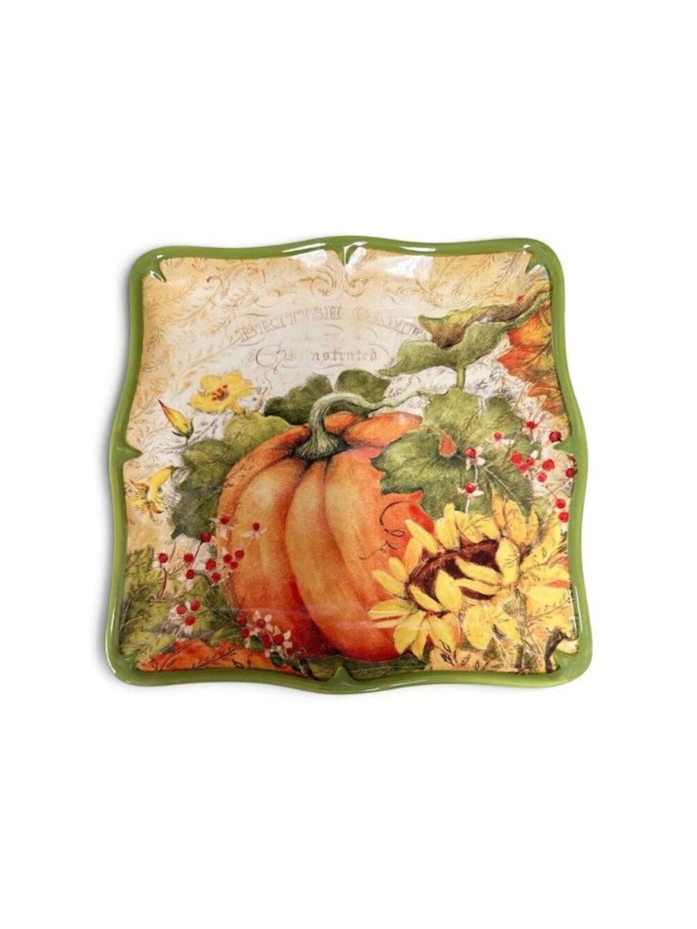 Certified International Harvest Pumpkin Ceramic Square Plate 10" Microwave & Dis